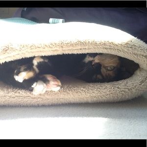 Meet your Posher, Willow